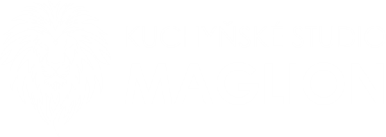 MAGLION Logo